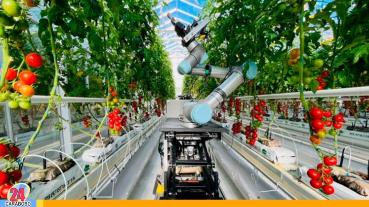 robot agrícola inteligente