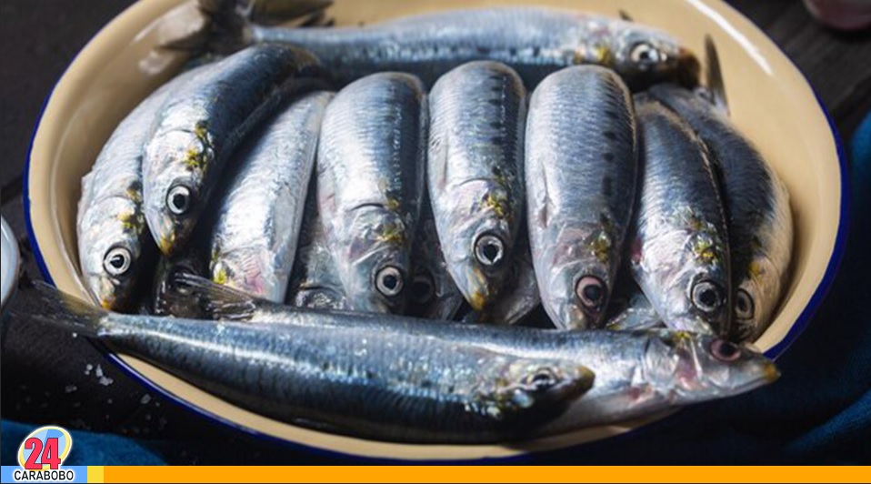 comer sardinas frescas