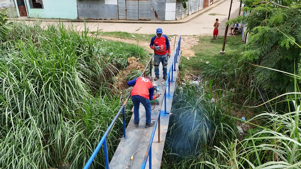 puente peatonal en Libertadores B de Miguel Peña 