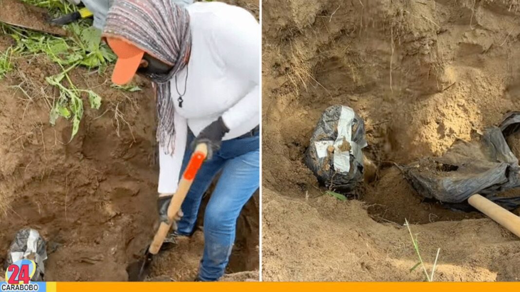 Hallan 61 bolsas con restos humanos en Jalisco