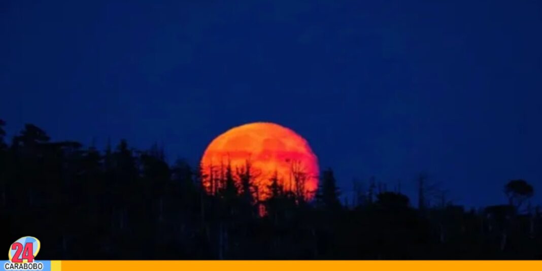Luna de Sangre