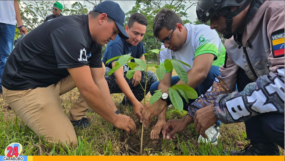 Jornada de reforestación