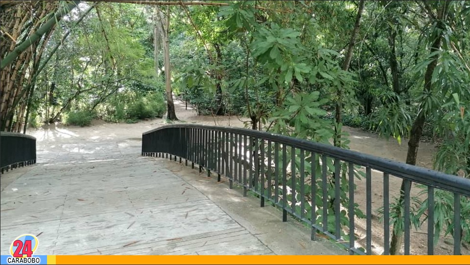 ¿Cuánto mide el Parque Negra Hipólita?