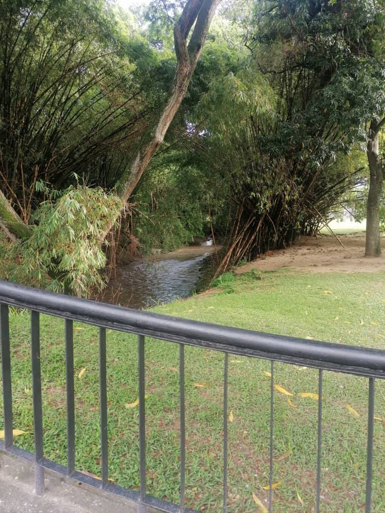 ¿Cuánto mide el Parque Negra Hipólita?