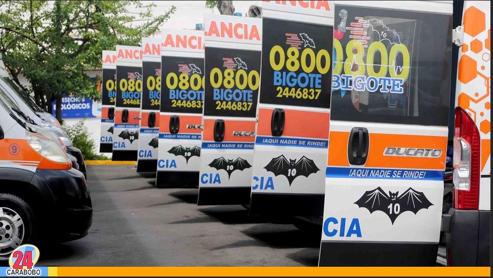 0-800 Bigote durante el mes de septiembre