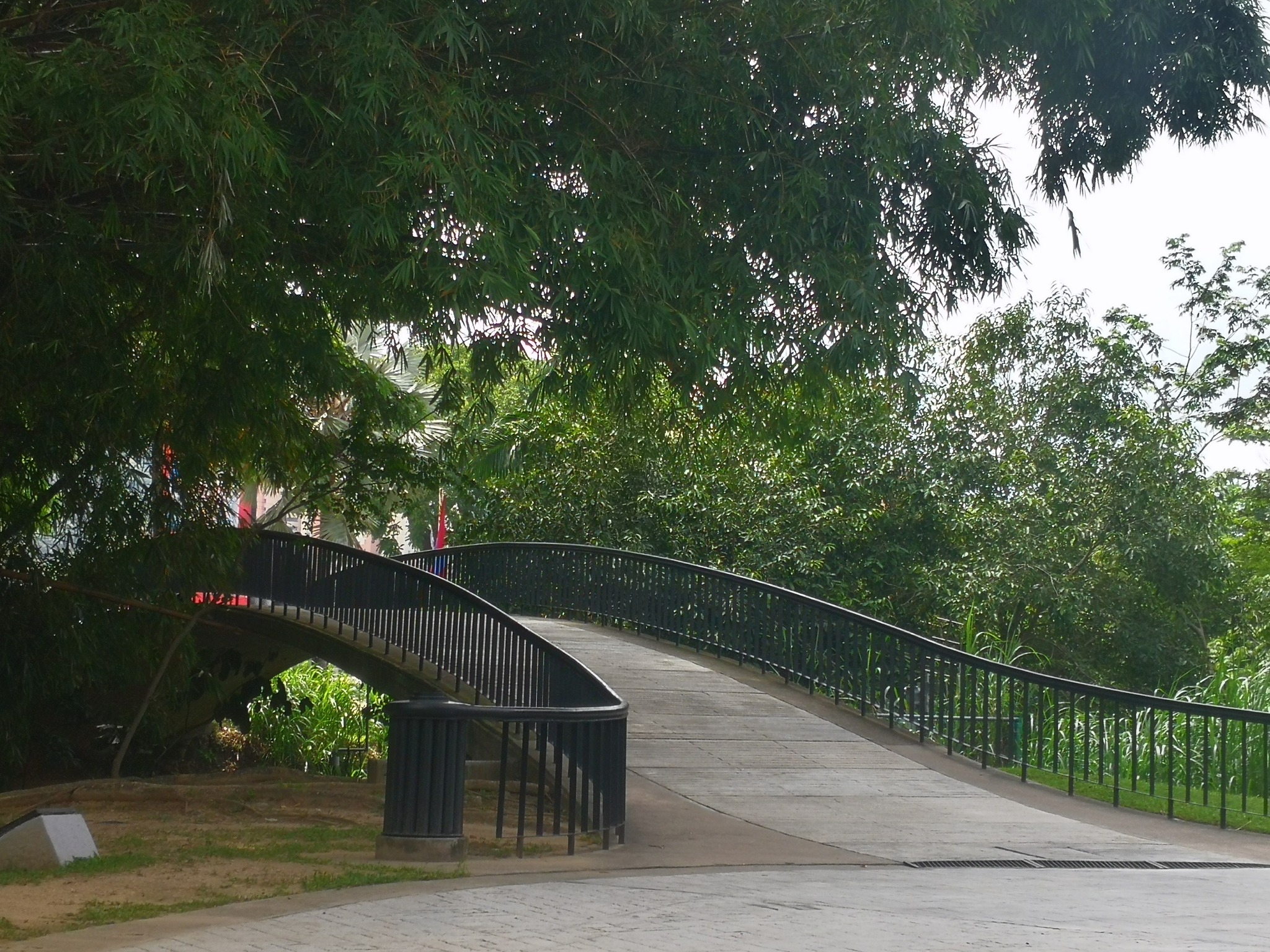Caminar en un parque tiene sus beneficios