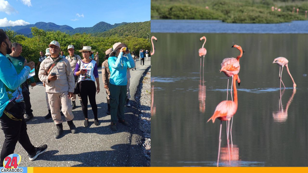 Inició Ruta Turística de Aviturismo Carabobo 2025 en el marco del October Big Day