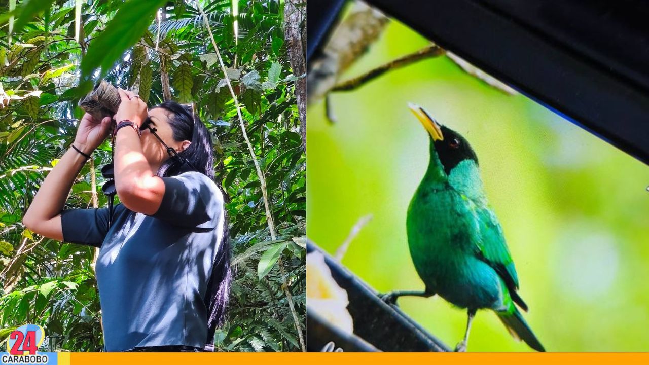 Inició Ruta Turística de Aviturismo Carabobo 2025 en el marco del October Big Day