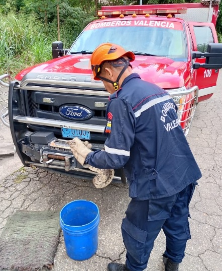 Serpiente fue rescatada en el barrio 24 horas