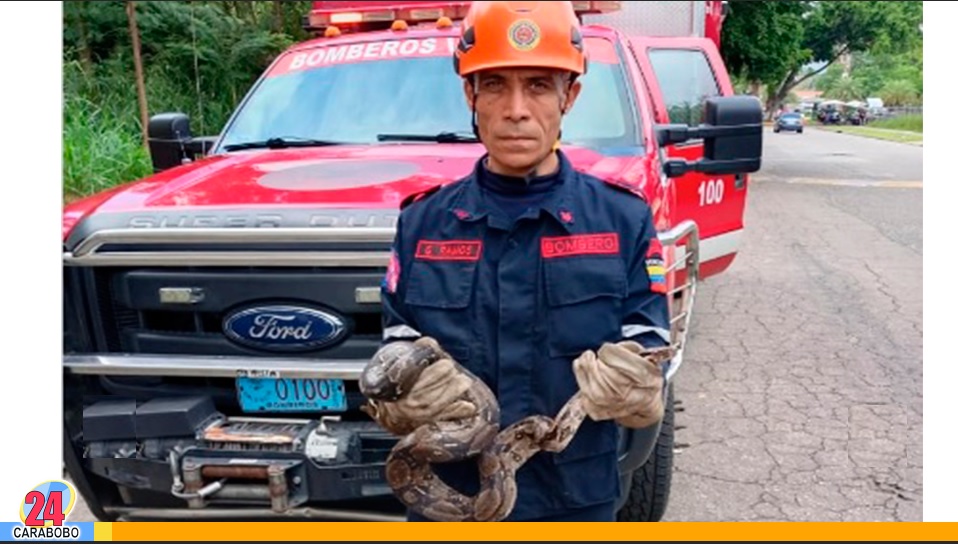 Serpiente fue rescatada en el barrio 24 horas de Santa Rosa