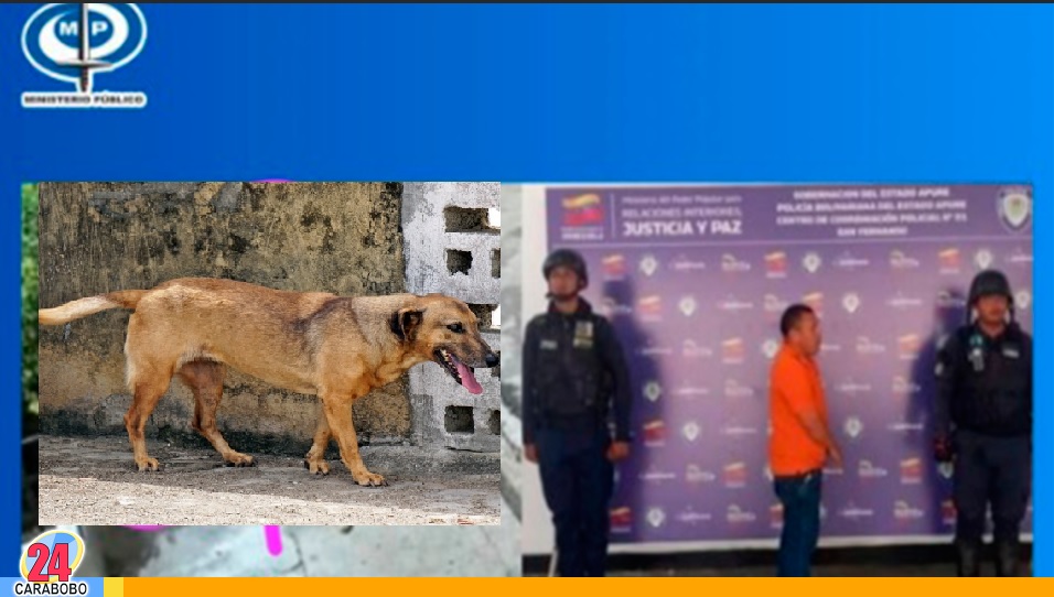 Sujeto que cometía actos de zoofilia