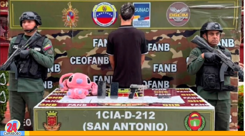 Intentó pasar un arma traumática al país en un peluche