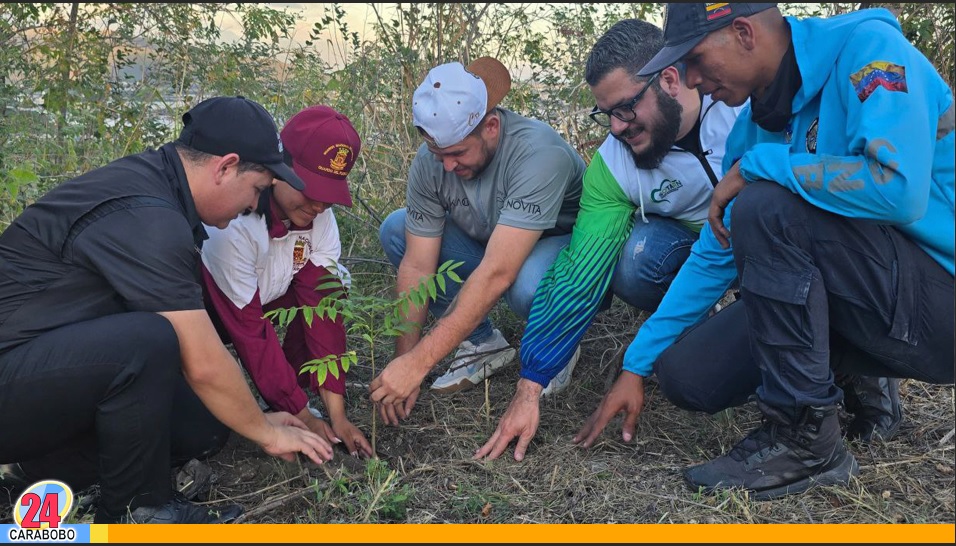 Reforestación y senderismo en Morros de San Blas