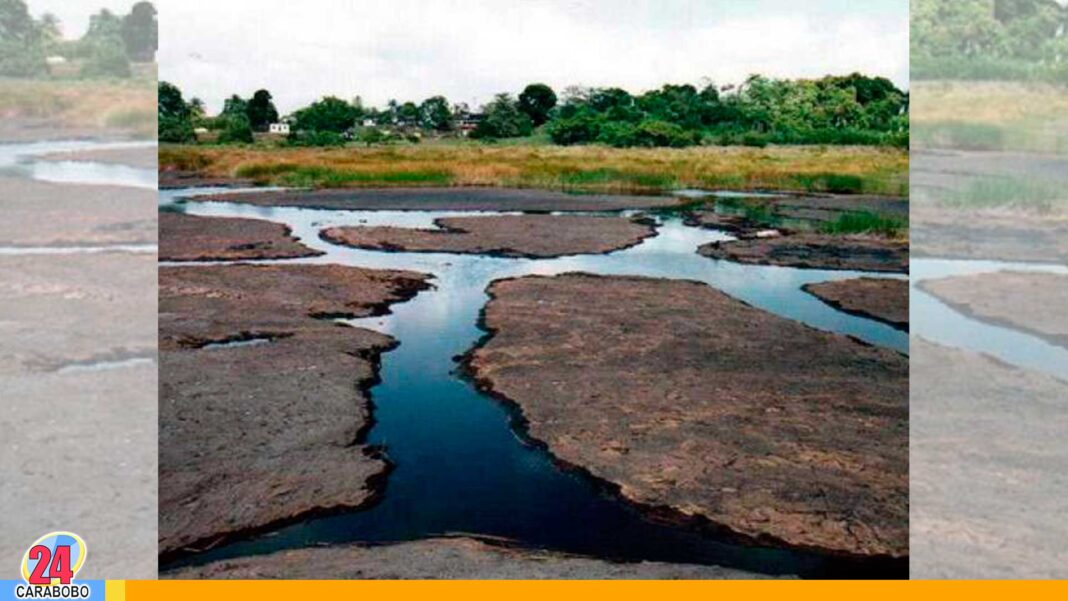 Explotación Lago de Guanoco