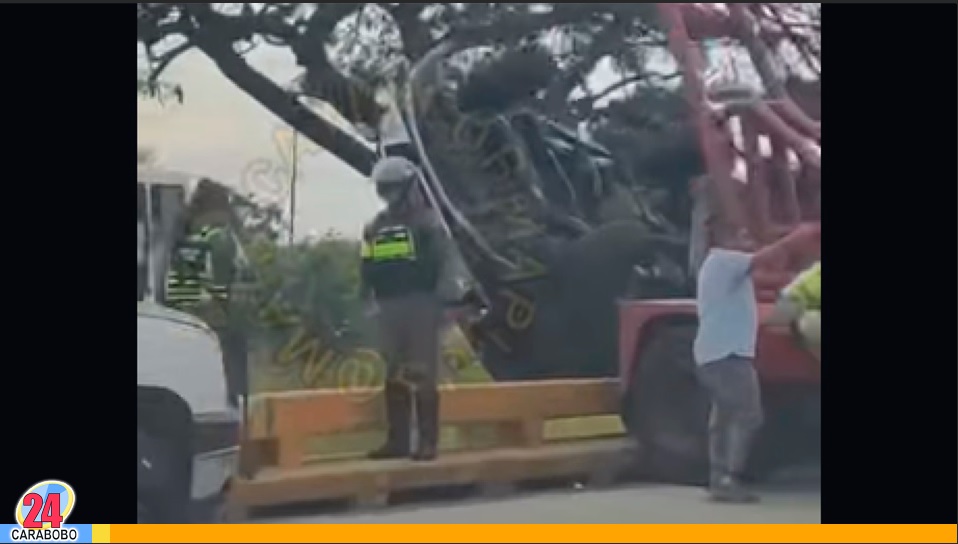 Vehículo cayó en el Viaducto La Cabrera