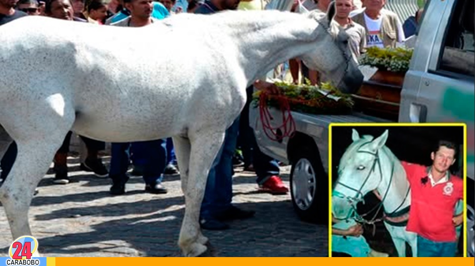 Caballo se hizo viral al despedirse de su dueño