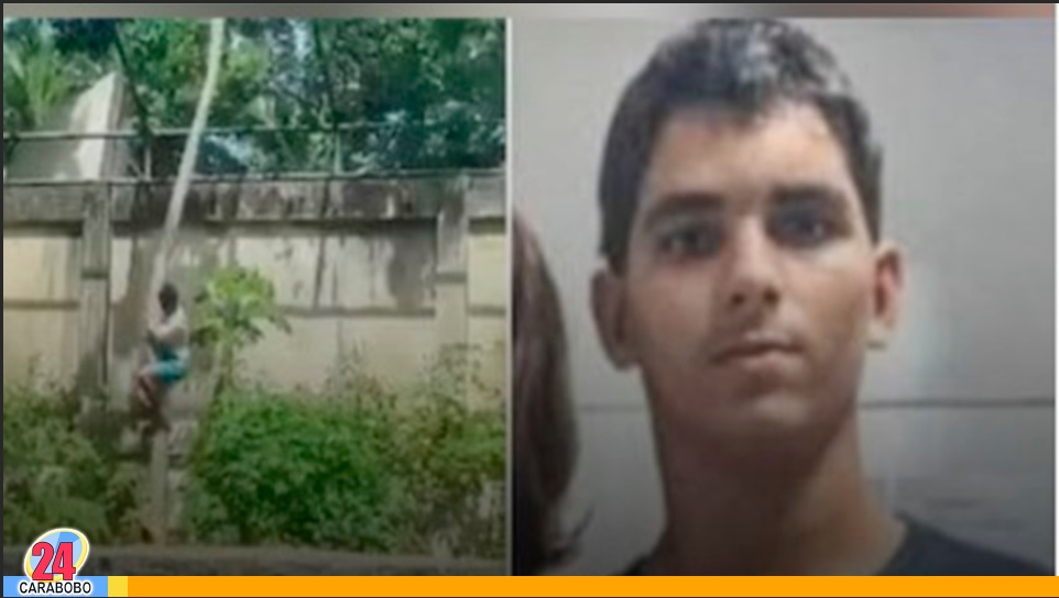 Joven que entró a la jaula de una leona