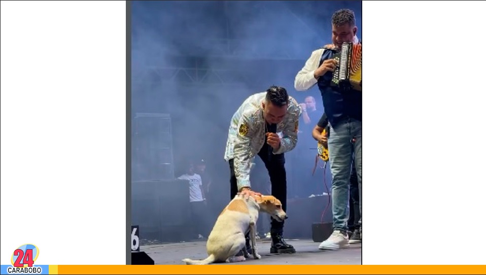 Un perro en Colombia compartió tarima en
