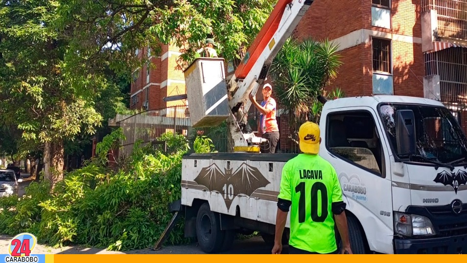 Pico y poda en Urbanización El Trigal