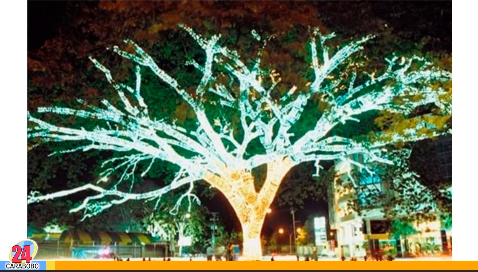 20 años del encendido del samán de El Viñedo