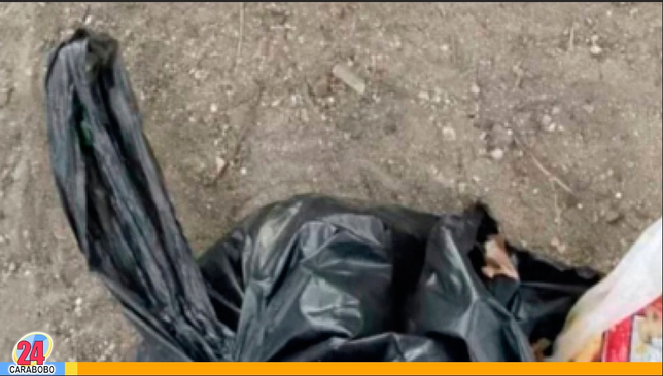 feto dentro de una bolsa plástica en La Isabelica