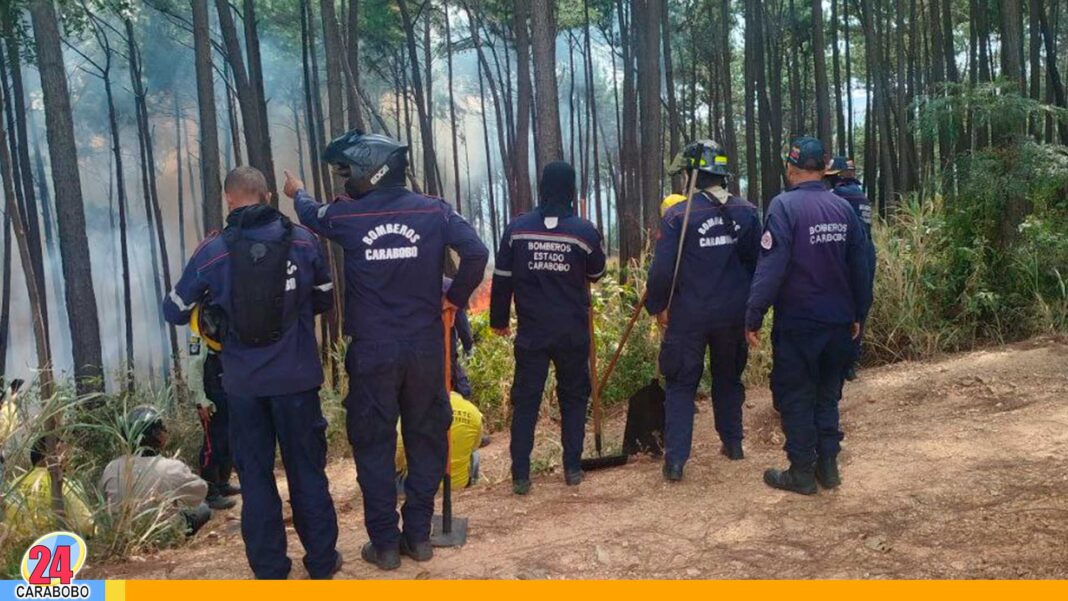 equipos incendios forestales Carabobo
