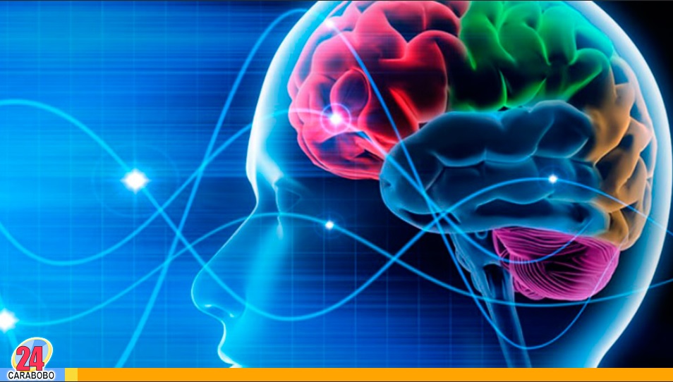 Estas son las cosas cotidianas que estimulan tu cerebro