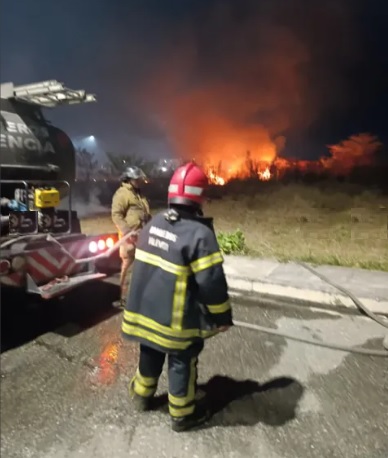 Incendio de vegetación al sur de la ciudad