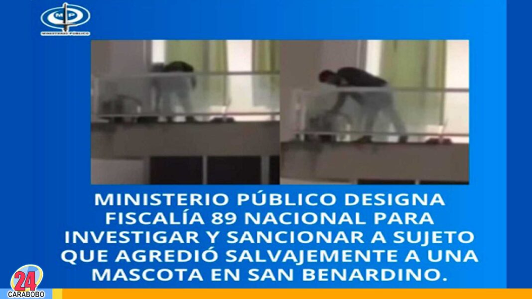 maltrato animal en Caracas