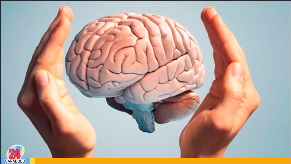 proteger tu cerebro del Alzheimer