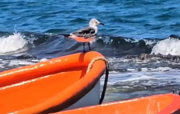 El Rincón del Pirata en Gañango