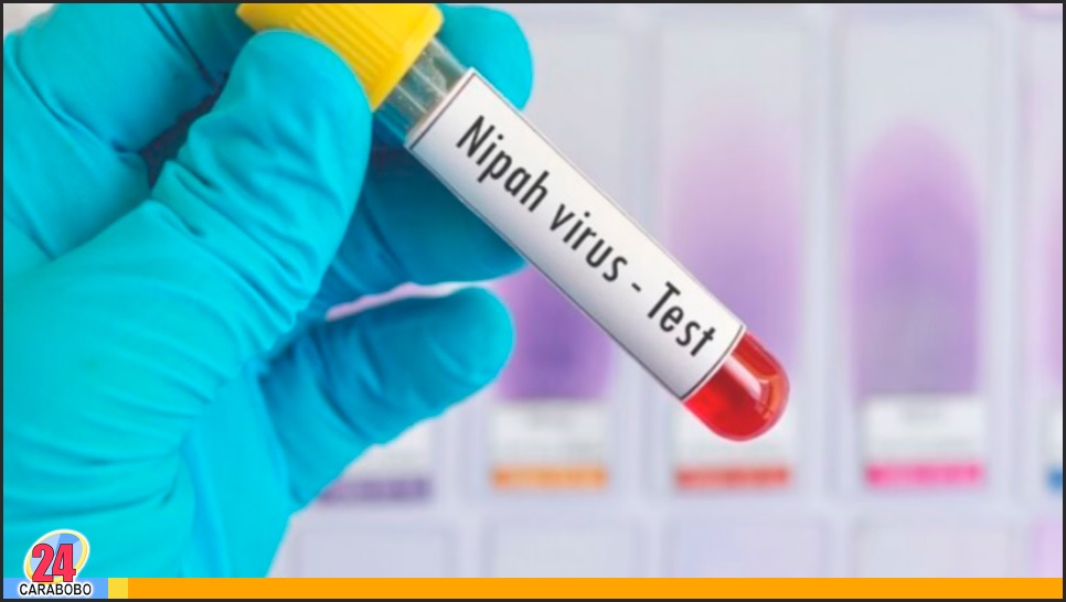 Virus Nipah pone en alerta a aeropuertos en Indonesia