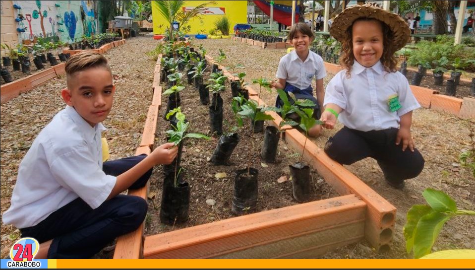 Plántulas de café y cacao fueron sembradas en vivero escolar en Naguanagua