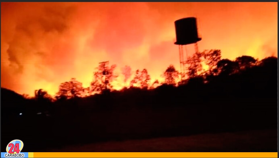 bomberos forestales perdieron la vida en Monagas