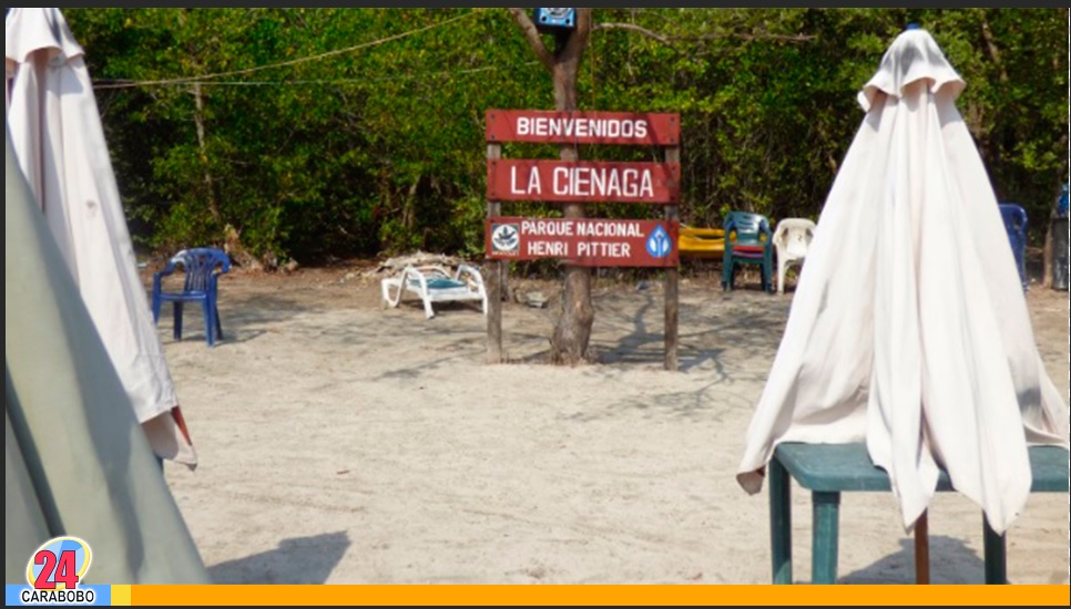 Visita la Ciénaga de Ocumare de la Costa