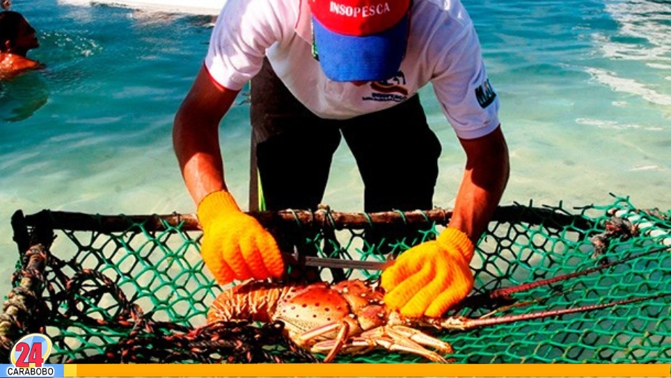 Pesca de langosta en Venezuela