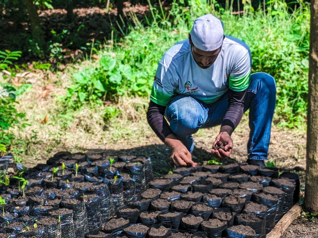 Plan Nacional de Reforestación en Carabobo