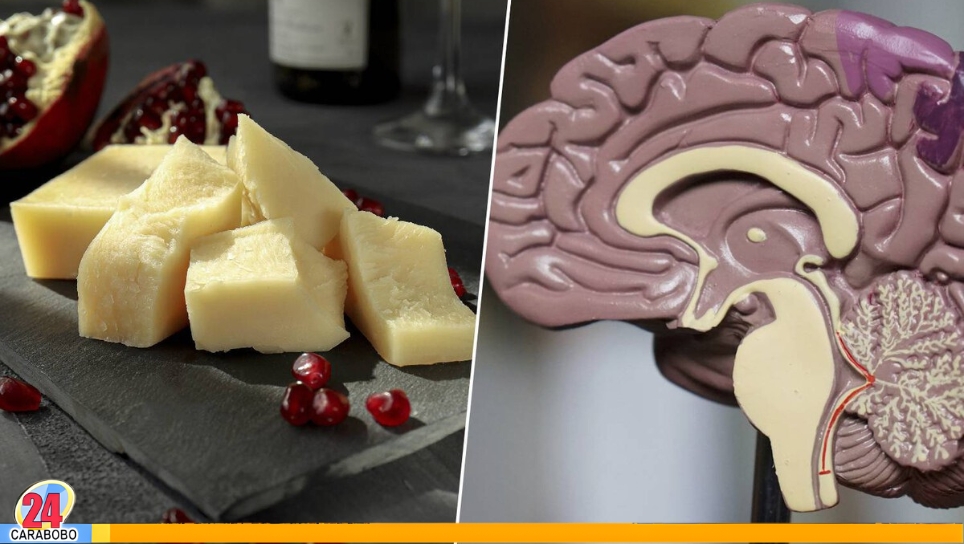Queso graso contra el alzhéimer