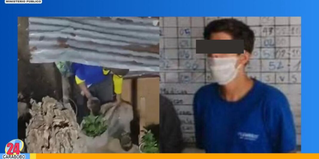 Ministerio Público hombre maltrato animal