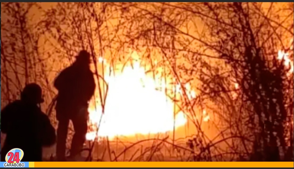 Bomberos de Valencia controlaron incendio de vegetación al sur de la ciudad