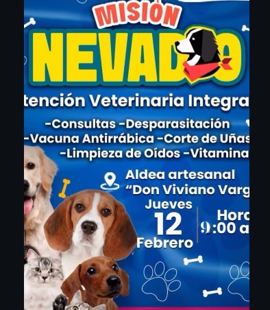 Misión Nevado Carabobo en febrero 2026