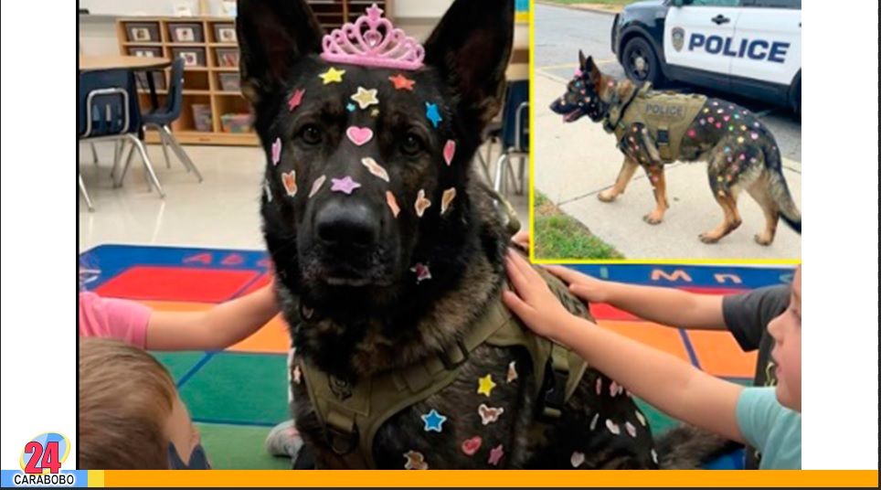l perro policía