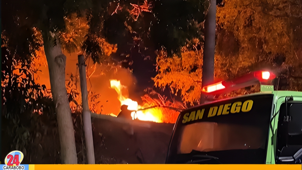 Incendio de vegetación en Los Jarales