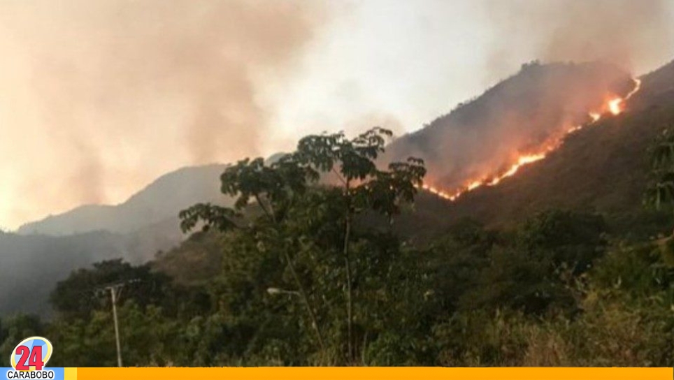 Incendio en el parque Henri Pittier
