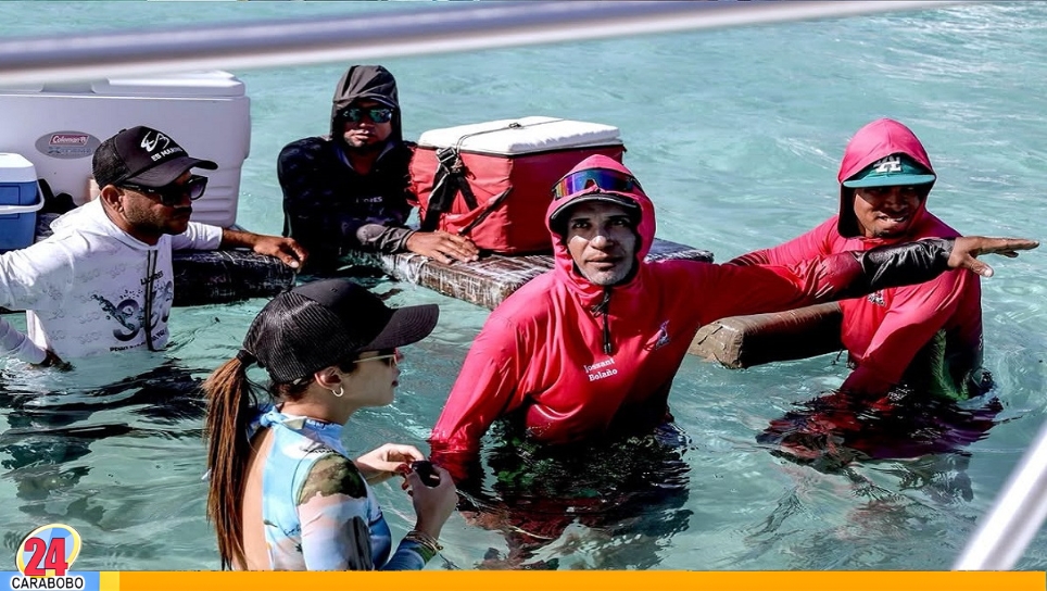 Ir a Los Juanes Morrocoy en 2026