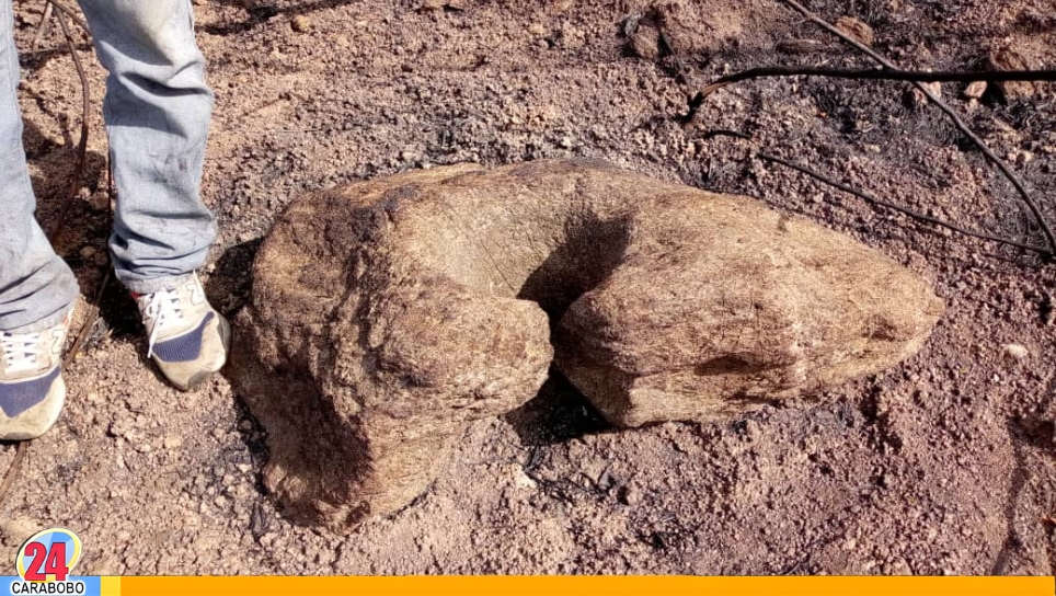 Monumentos arqueológicos en La Calceta Bejuma