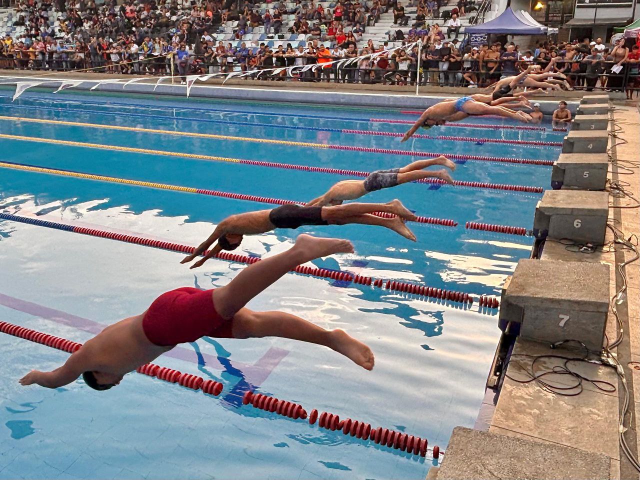 Estadal Invitacional Federado de Natación en Carabobo