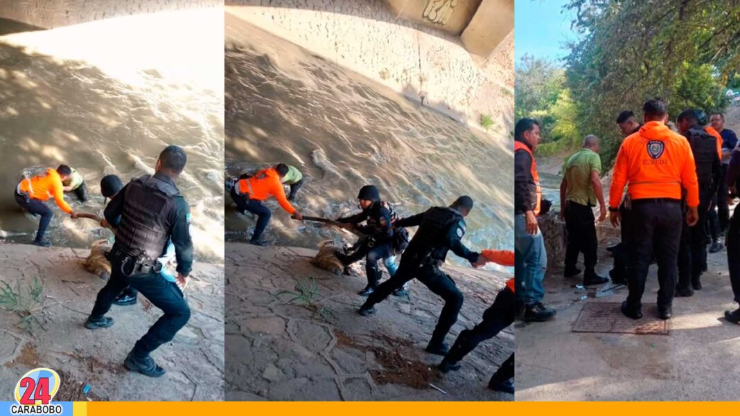Rescatan ciudadano arrastrado por el Río Guaire