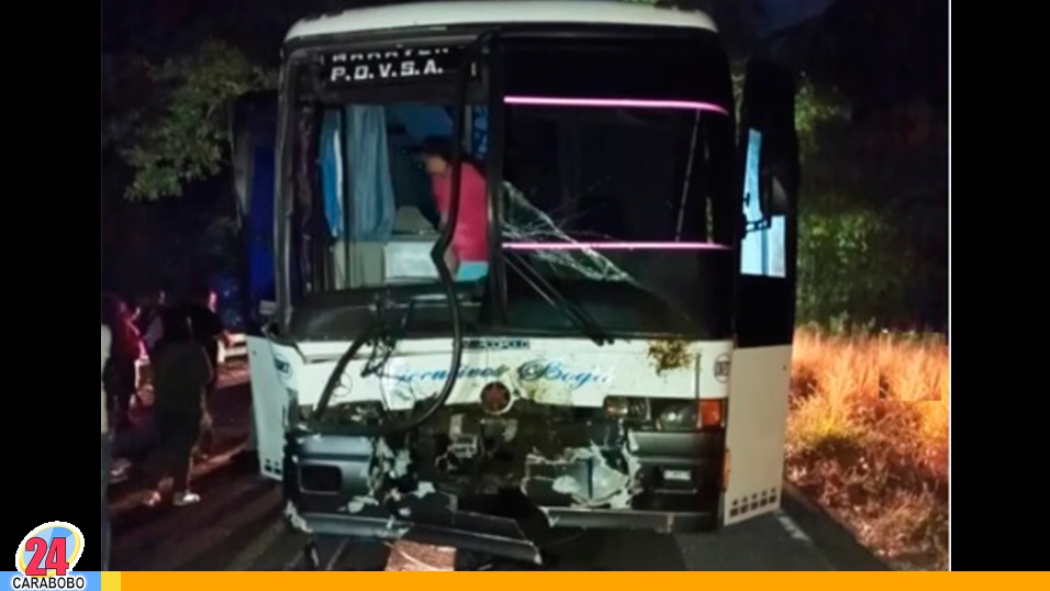 choque de un autobús con cuatro vacas