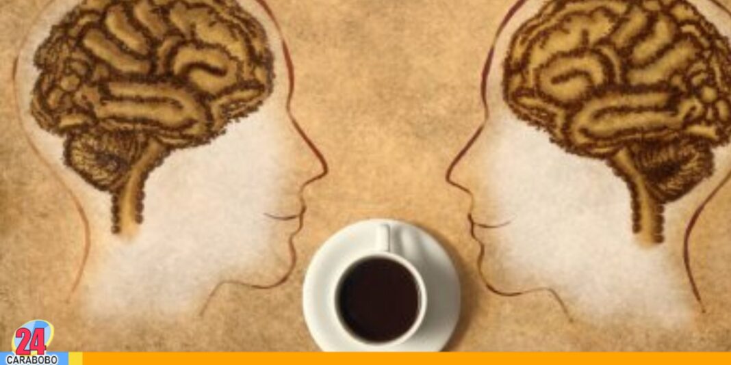 cafeína podría revertir pérdida de memoria